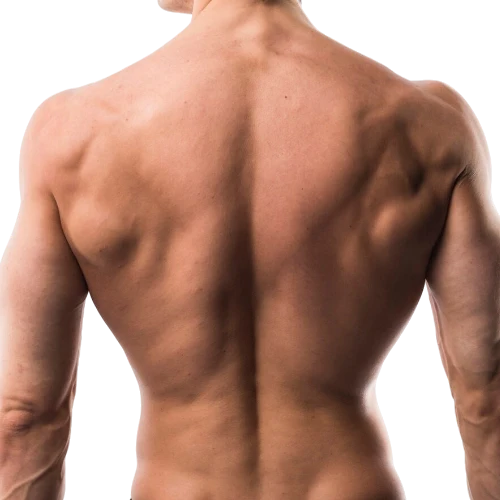 Homme