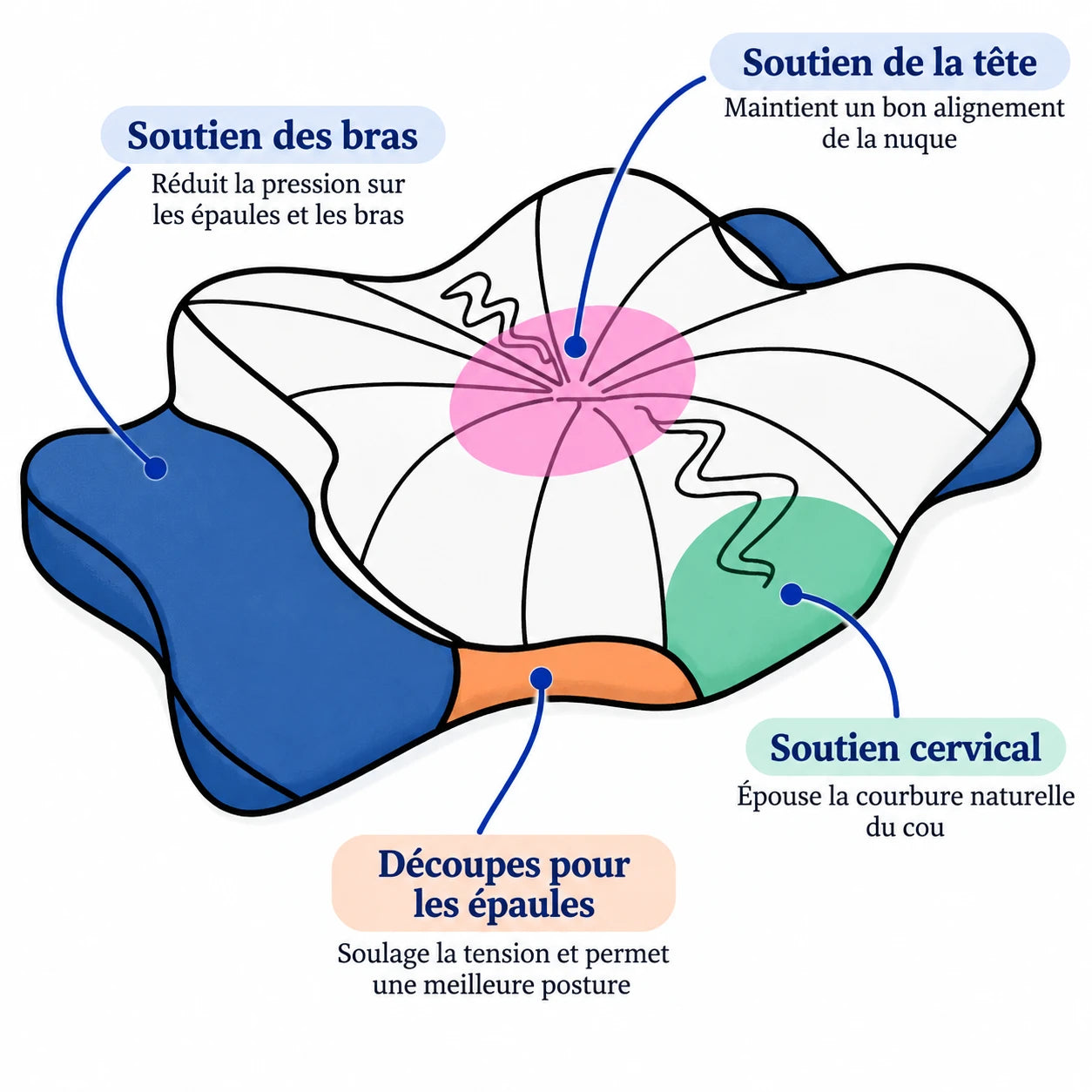 Les zones de l'Oreiller Papillon : soutien des bras, de la tête, soutien cervical et découpes pour les épaules